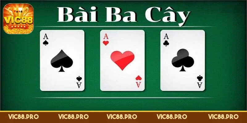 bai-3-cay-mien-bac-lua-chon-ly-tuong