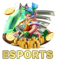 vic88-esports